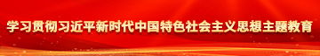 大黑逼免费视频网站学习贯彻习近平新时代中国特色社会主义思想主题教育